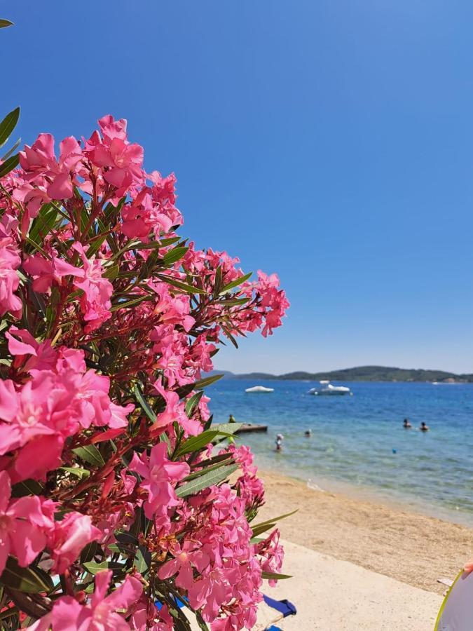 Azul Vodice Leilighet Eksteriør bilde